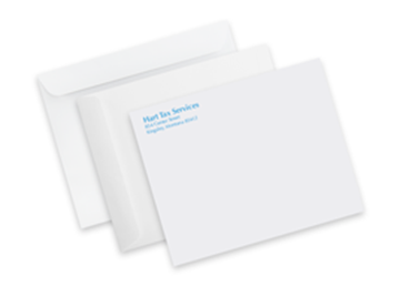 6" x 9" Mailing Envelopes - Spot Color
