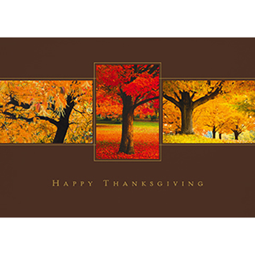 Thanksgiving Trio - Printed Envelope