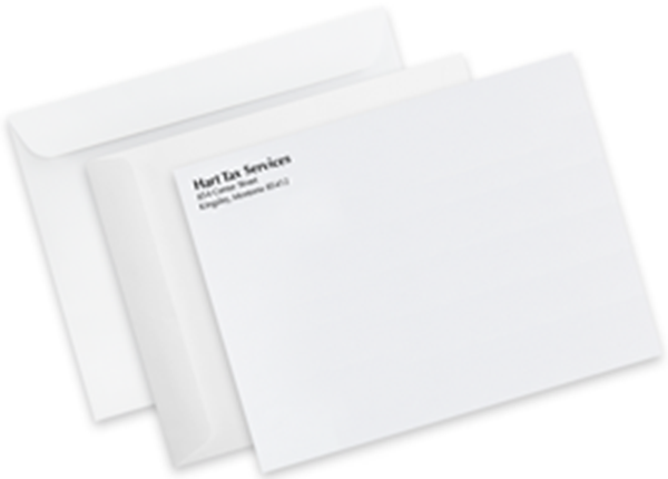 10" x 13" Mailing Envelope - Spot Color