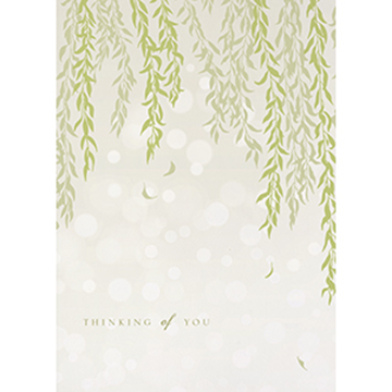 Thinking of You Willow  - Printed Envelope